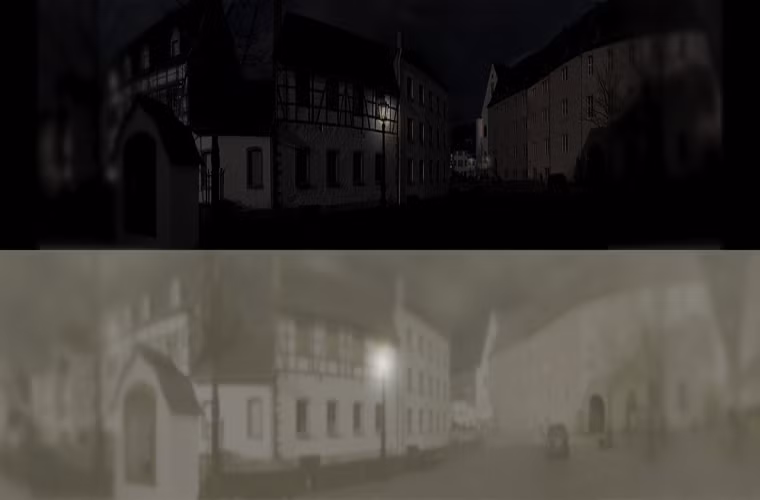 Mắt mèo có tầm ngoại vi lớn hơn. Tầm nhìn ban đêm rõ của chúng cho phép chúng nắm bắt tốt hơn các chuyển động trong bóng tối.