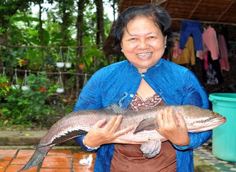 Chủ nhân cười vui nâng con cá lóc khủng 6,1kg trên tay.