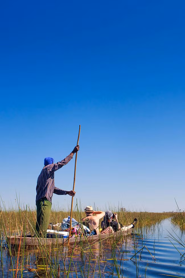 Mokoro là một chiếc bè truyền thống được chế tạo từ thân cây rỗng, ngày nay nó được làm bằng sợi thủy tinh. Một hướng dẫn viên đứng điều khiển mokoro bằng một cây sào trong khi khách ngồi yên và ngắm nhìn khung cảnh của đồng bằng Okavango. Bạn có thể nhìn thấy hà mã và cá sấu, nghe có vẻ đáng sợ nhưng một khi bạn ở trên mặt nước thì nỗi sợ hãi sẽ biến mất.