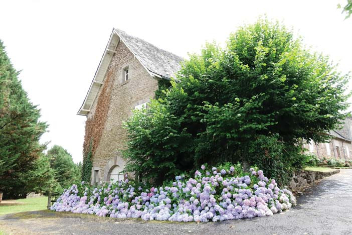 Tại dinh cơ vắng vẻ này, vào ngày 14/9/1963, Nam Phương Hoàng hậu đã bị sốt cao và đau họng sau khi ra nắng bị cảm lại đi tắm. Bác sĩ tới thăm bệnh, nói bà bị viêm họng nhẹ. Không ngờ sau đó bà bị khó thở.