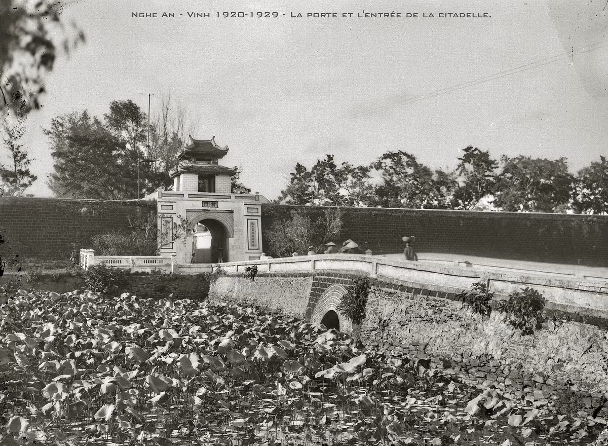 Cây cầu bắc qua hào nước đầy sen dẫn vào cổng thành Vinh.