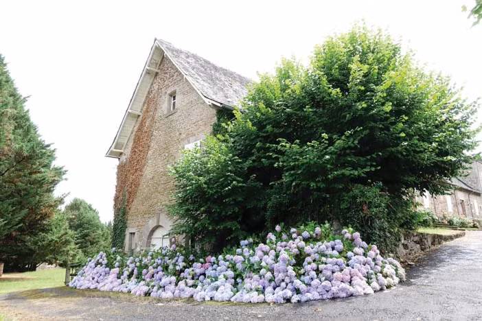 Tại dinh cơ vắng vẻ này, vào ngày 14/9/1963, Nam Phương Hoàng hậu đã bị sốt cao và đau họng sau khi ra nắng bị cảm lại đi tắm. Bác sĩ tới thăm bệnh, nói bà bị viêm họng nhẹ. Không ngờ sau đó bà bị khó thở.