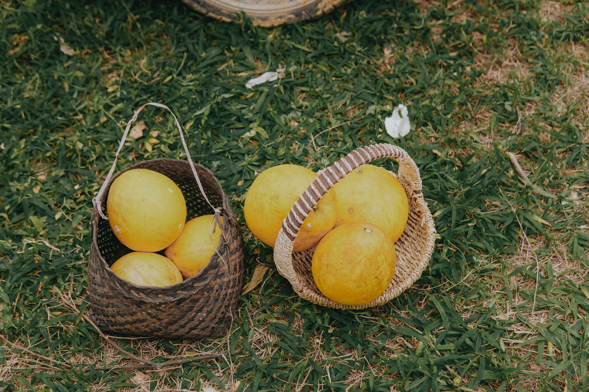 Bưởi diễn thường được thu hái trước Tết chừng một tháng để quả có thời gian “xuống nước”, tức là cho quả héo bớt đi giúp quả ăn ngon, ngọt và mọng nước hơn.