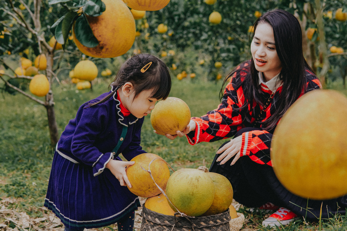 Ngoài tham quan, chụp hình, du khách có thể mua bưởi diễn tại vườn, đem về thưởng thức hoặc làm quà.