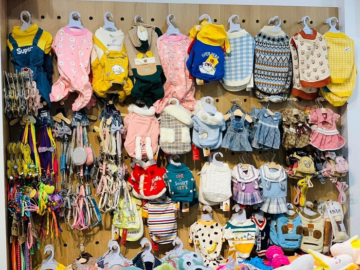 Nha giau chi tien trieu lam dep cho cho meo ngay Tet-Hinh-2