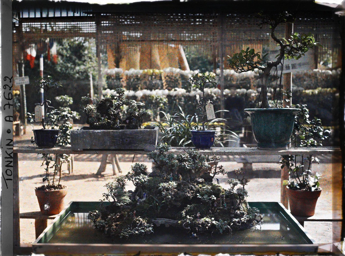 Hòn non bộ tái hiện cảnh tượng ở chốn Cực lạc theo giáo lý nhà Phật qua trí tưởng tượng của nghệ nhân cây cảnh.