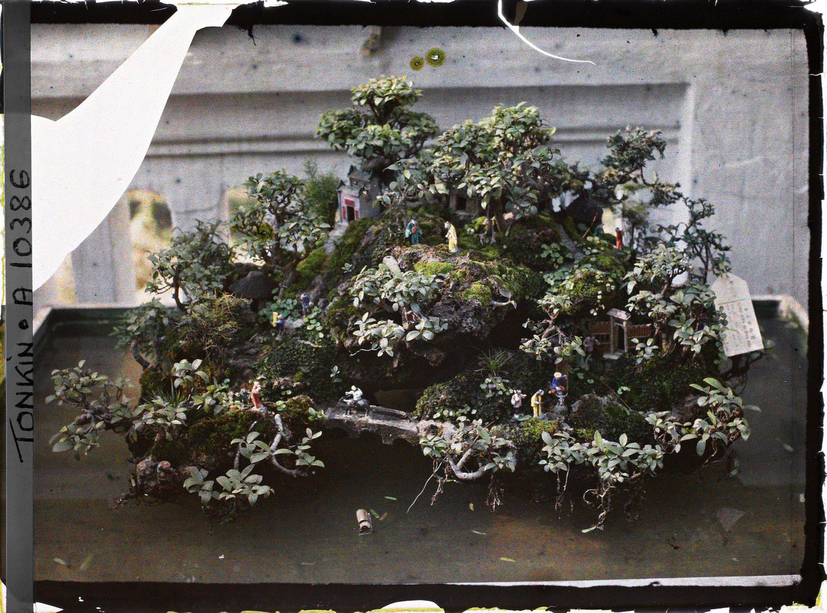 Góc nhìn cận cảnh về miền Cực lạc thu nhỏ.