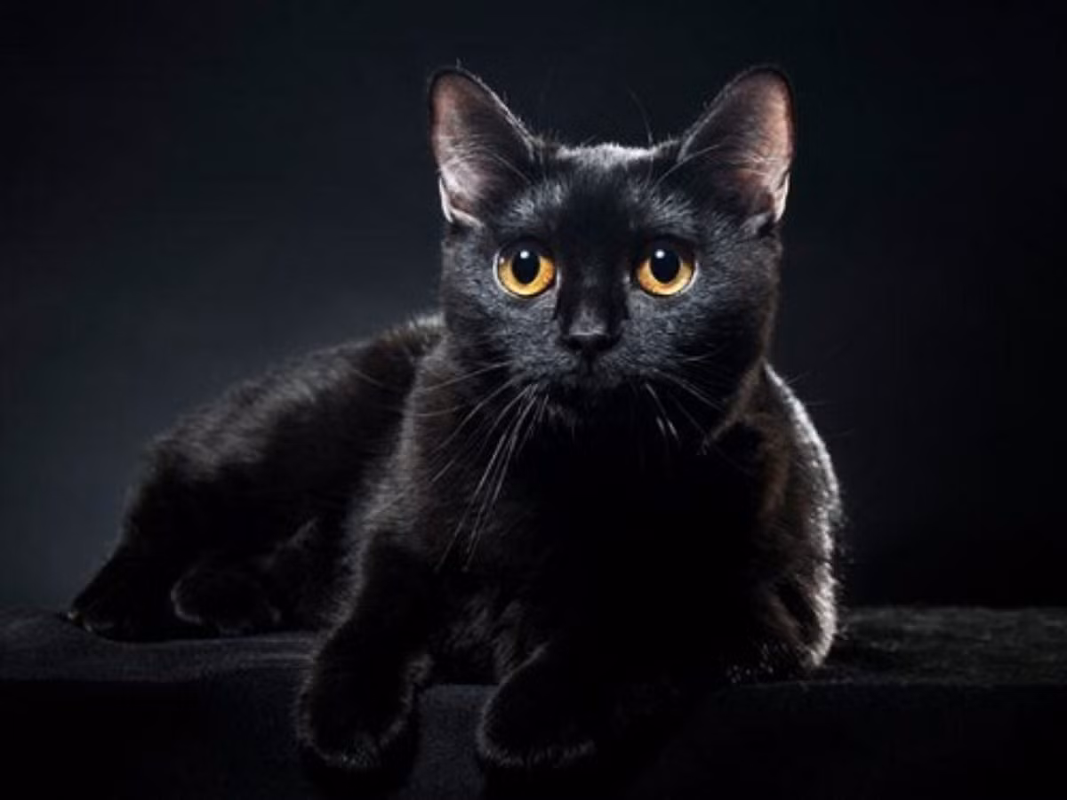 Cũng phải nói rằng, xác suất để xảy ra tình huống "xác chết bật dậy" là rất nhỏ, có thể nói là không khác gì trúng vé số độc đắc.