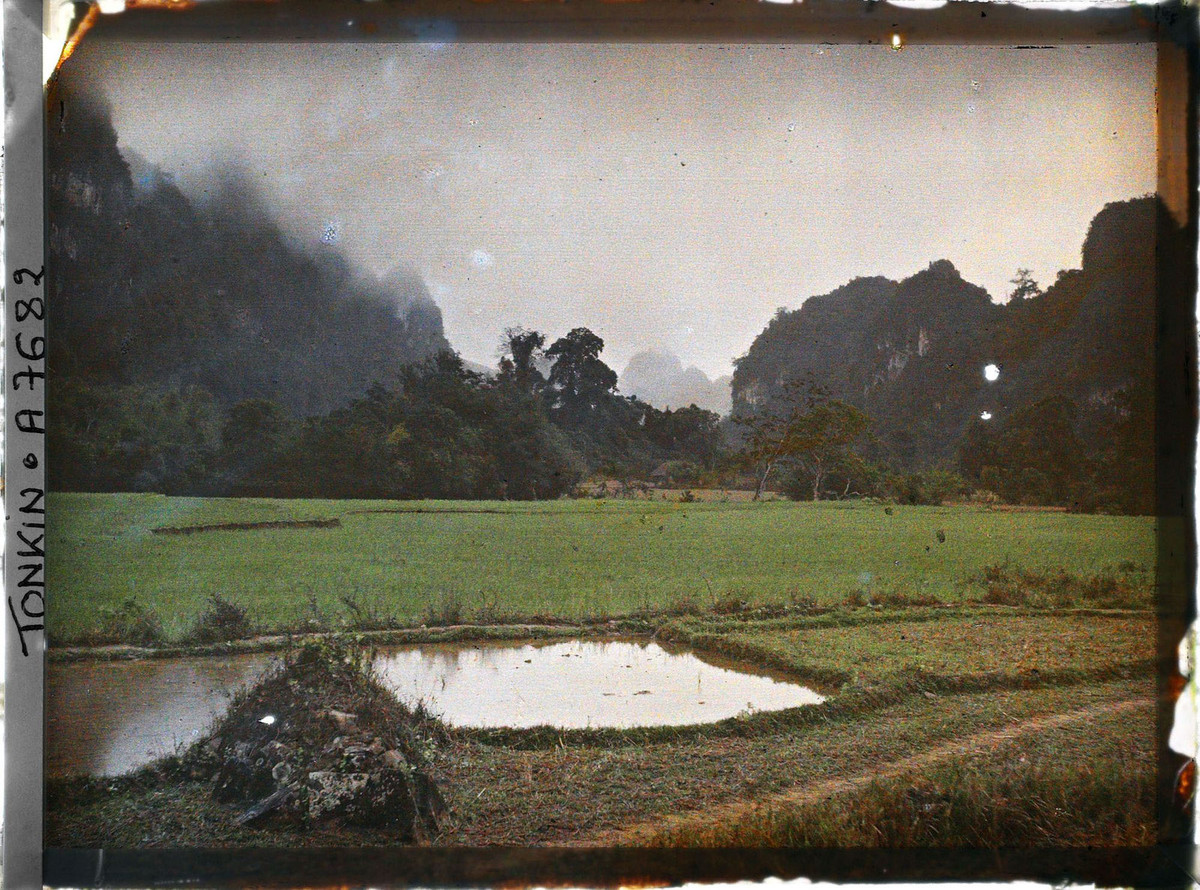 Một nấm mộ của người Mường nằm bên bờ ruộng.