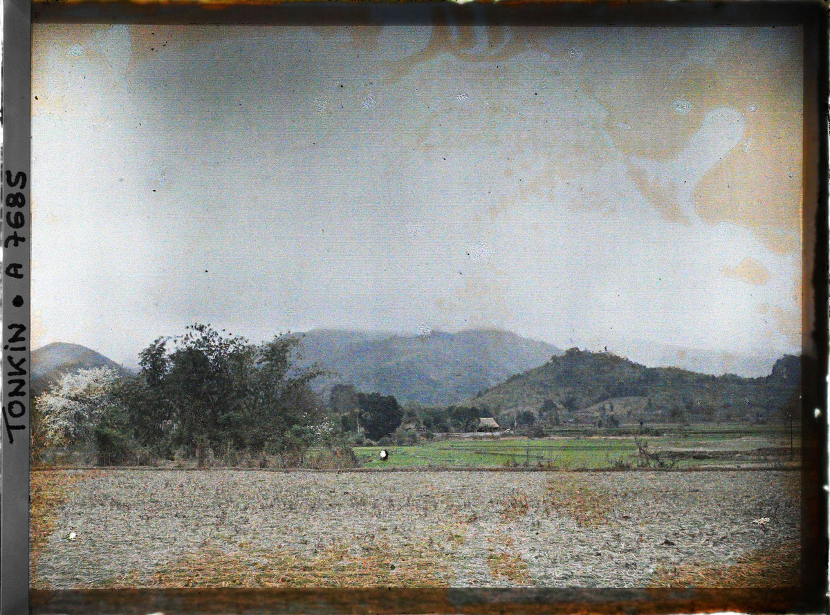 Trên một cánh đồng hoang.