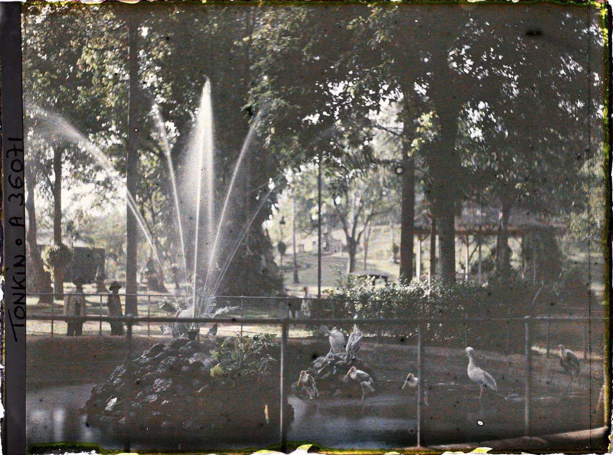 Đài phun nước ở khu nuôi chim cò trong vườn Bách Thảo.