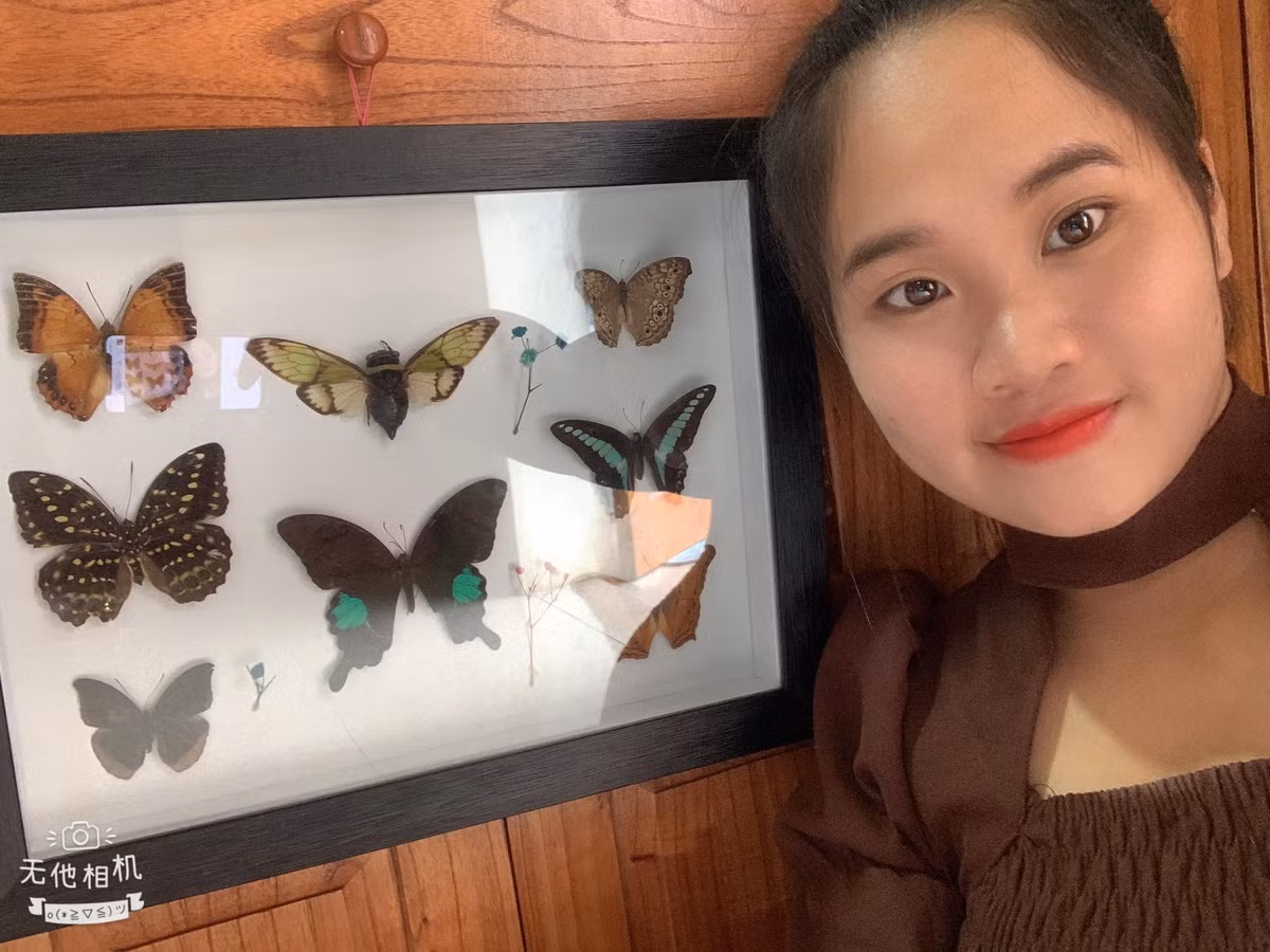 Bat con trung ve lam thu nay, 9x ban gia ca trieu dong