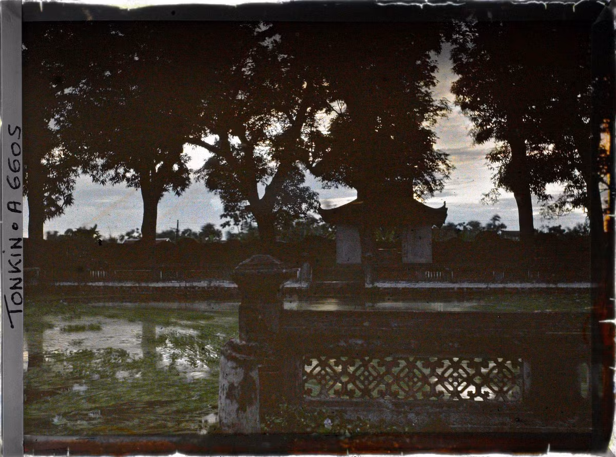 Từ bên giếng Thiên Quang nhìn sang khu vườn bia Tiến sĩ.