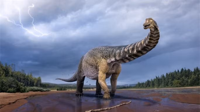 Một con thằn lằn hộ pháp khi trưởng thành - Ảnh: SCI-NEWS < /td>