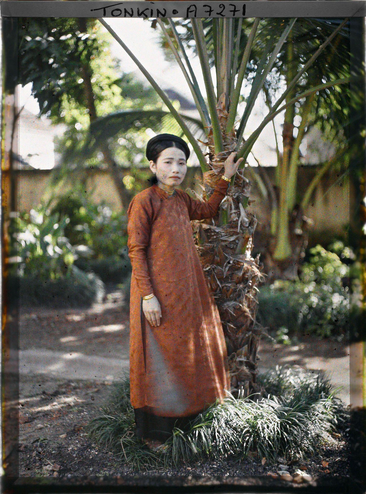 Hết hoa hoét thì đến cây cọ.