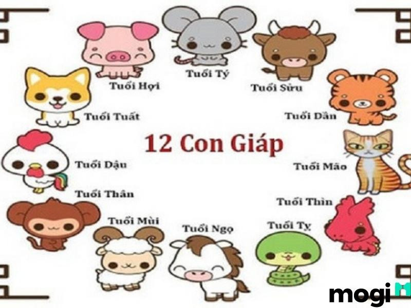 Năm mới, con giáp nào cũng tràn đầy hy vọng vào năm mới và tháng 1 Âm lịch là khoảng thời gian được mong đợi nhất của năm. 4 con giáp này sẽ có khởi đầu thuận lợi ngay sau Tết, được tiếp sức để có thêm động lực giành nhiều thắng lợi trong năm Quý Mão. Hãy xem đó là những con giáp nào nhé! 