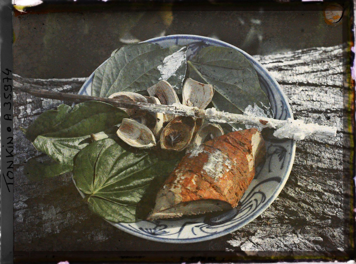 Một chiếc đĩa bày bốn thành phần cơ bản của tục ăn trầu.