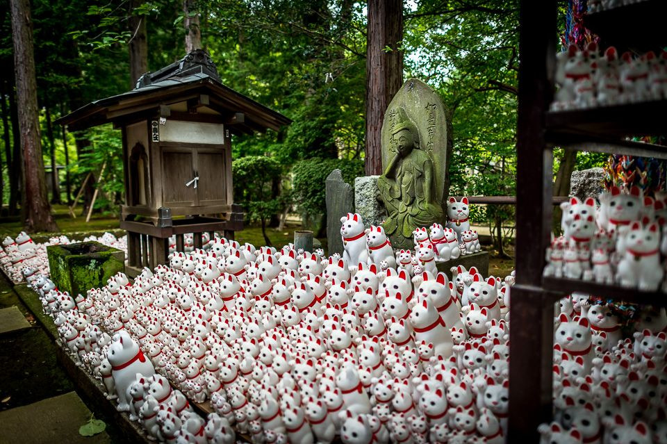 Đền Gotokuji ở khu phố Setagaya của Tokyo gắn với truyền thuyết lý giải sự xuất hiện của chú mèo may mắn này. Đây cũng là địa danh liên quan đến mèo Maneki Neko nổi tiếng nhất nước Nhật.