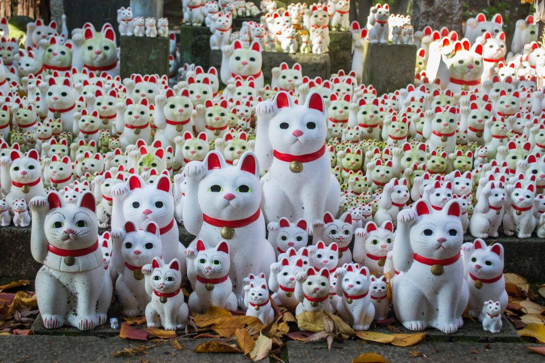 Ngày nay, đền Gotojuki có nhiều tượng Maneki Neko hơn bất kỳ ngôi đền nào khác ở Nhật Bản. Những bức tượng mèo được xếp chật kín một góc sân chùa, phần lớn là kiểu tượng truyền thống màu trắng.