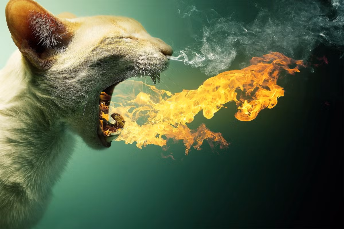 Sự kiện này xảy ra trong cuộc chiến giữa chúa Trịnh Sâm với Lê Duy Mật, con thứ 11 của Lê Dụ Tông. Vào năm 1769, nhà Trịnh huy động lực lượng lớn để quyết một phen sống mái với Lê Duy Mật.