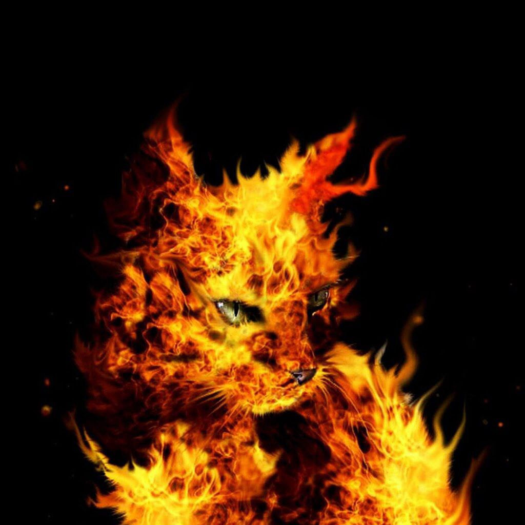 Với những công lao to lớn trong trận Mèo Lửa, Phạm Sinh được phong phong làm Phấn dũng tướng quân, tước Quận Công. Vì vậy dân gian gọi ông với biệt danh là “Quận Mèo”... Mời quý độc giả xem video: Ý nghĩa những phong tục ngày Tết Việt | VTC1.