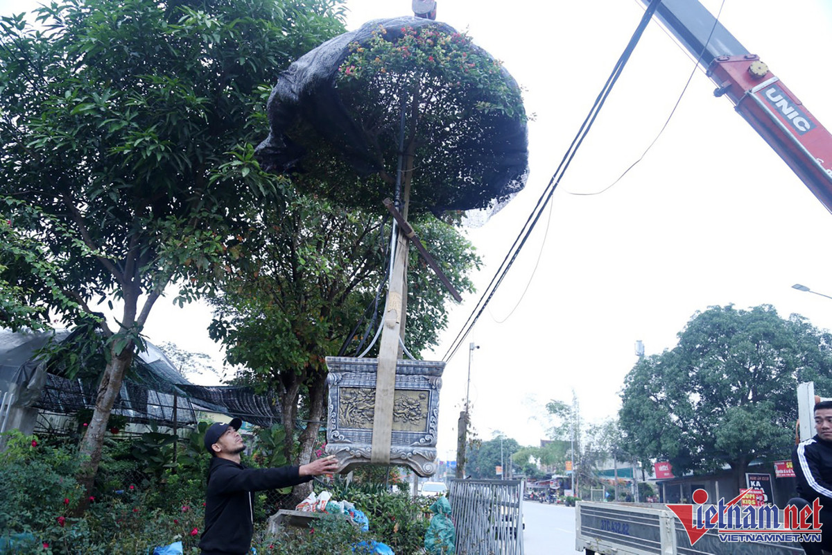 Bao tay chi tien ty nhap dao ve ban Tet du thi truong am dam-Hinh-3