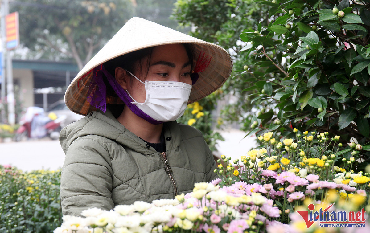 Bao tay chi tien ty nhap dao ve ban Tet du thi truong am dam-Hinh-7