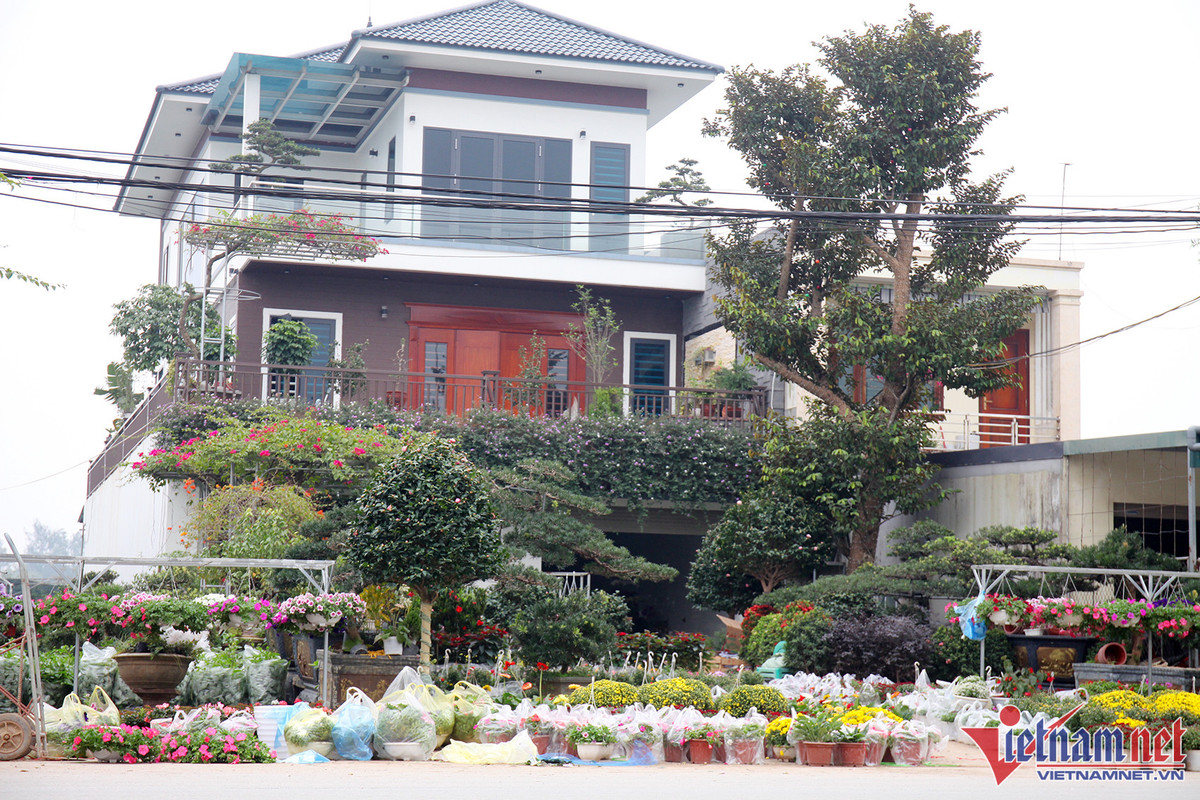 Bao tay chi tien ty nhap dao ve ban Tet du thi truong am dam