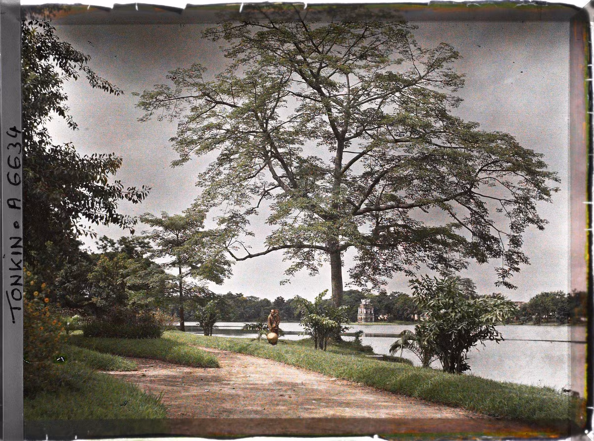 Bờ hồ Hoàn Kiếm ở Hà Nội năm 1915. Ảnh: Léon Busy / Collections.albert-kahn.hauts-de-seine.fr.