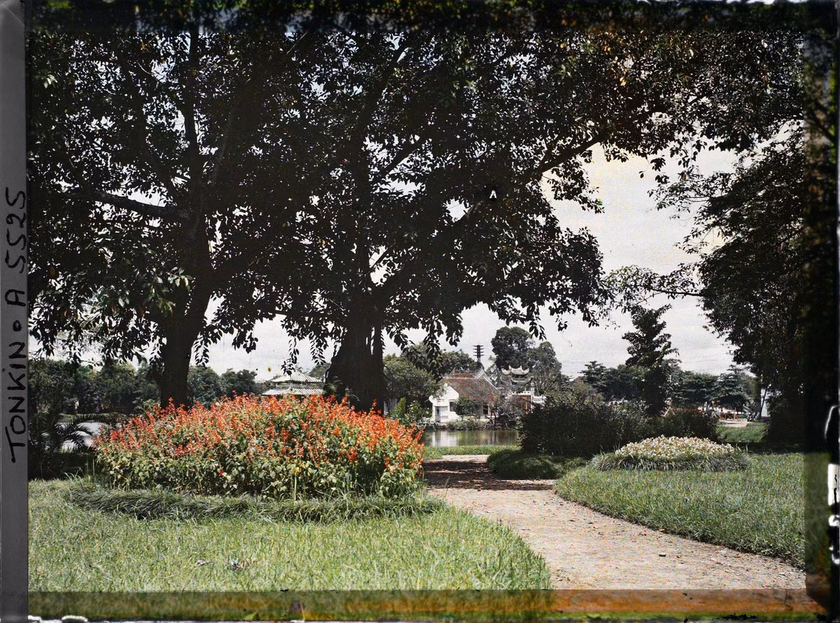 Hoa khoe sắc bên bờ hồ. Phía xa là đền Ngọc Sơn.