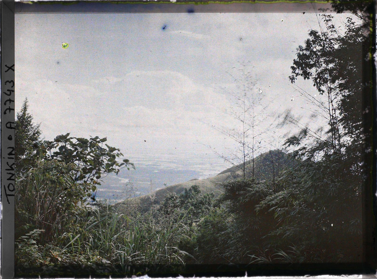 Khung cảnh hoang vu ở Tam Đảo năm 1916.