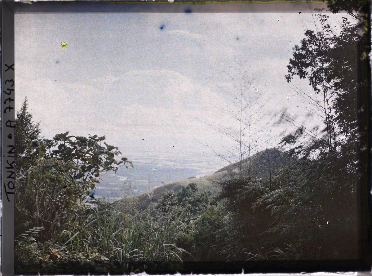 Khung cảnh hoang vu ở Tam Đảo năm 1916.