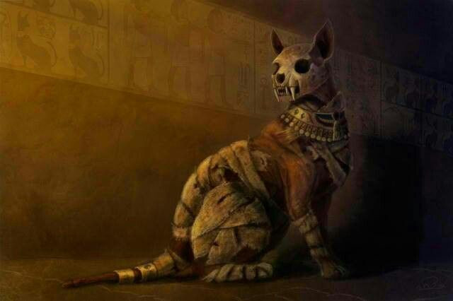 Người Ai Cập cổ đại nổi tiếng với việc tôn thờ loài mèo. Một trong những biểu hiện sự thờ phụng này là việc họ đã ướp xác vô số con mèo.