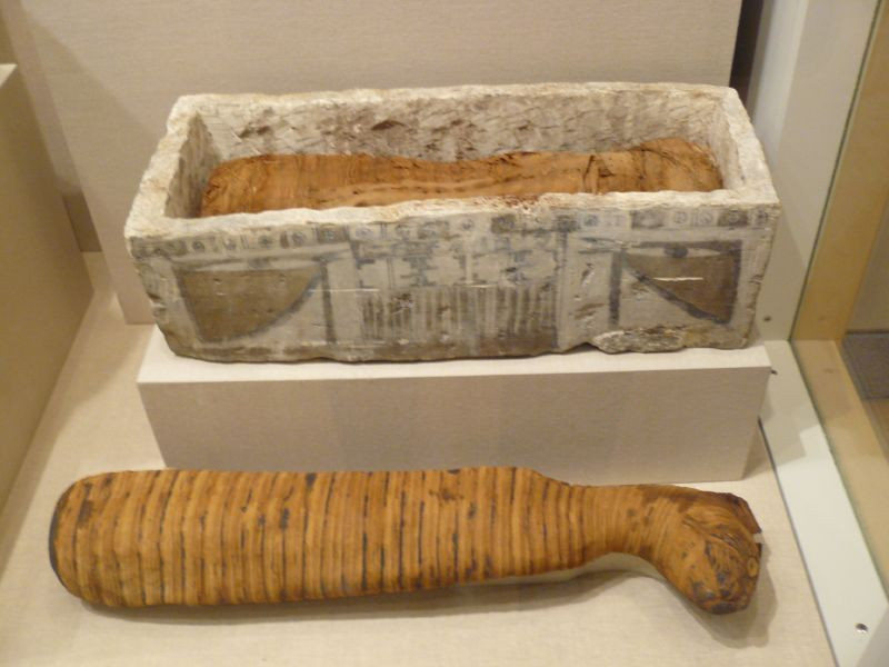 Qua quá trình ướp xác với tư thế ngồi, một số xương mèo đã bị gãy. Trên hộp sọ mèo có một lỗ hổng có thể là cách để giết chết mèo hoặc nó dùng để rút hết não trong hộp sọ khi ướp xác mèo.