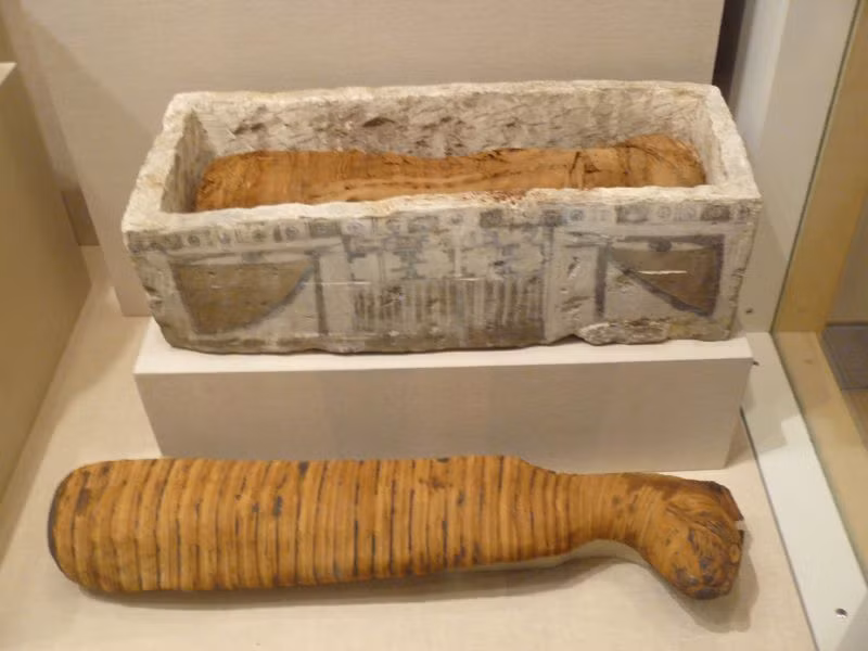 Qua quá trình ướp xác với tư thế ngồi, một số xương mèo đã bị gãy. Trên hộp sọ mèo có một lỗ hổng có thể là cách để giết chết mèo hoặc nó dùng để rút hết não trong hộp sọ khi ướp xác mèo.