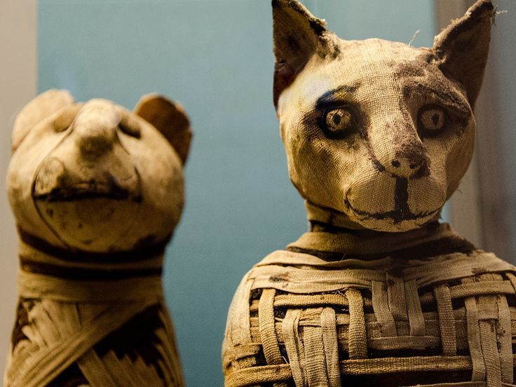 Cụ thể, mèo là được coi là sở hữu hai tính khí đáng mơ ước - một mặt chúng có thể bảo vệ, trung thành và nuôi dưỡng, nhưng mặt khác chúng có thể ngoan cường, độc lập và quyết liệt.