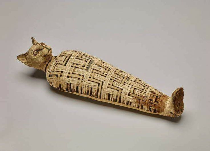 Theo các nhà Ai Cập học, phần lớn người Ai Cập cổ đại cho rằng, các vị thần và người cai trị của họ có những phẩm chất giống mèo.