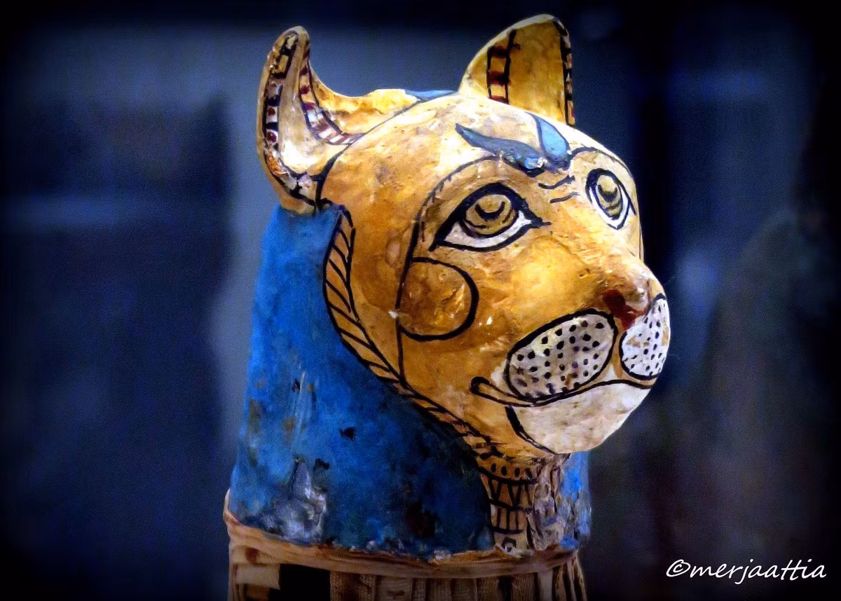 Các cuộc khảo sát cho thấy, xác ướp mèo ở Ai Cập được bọc càng chặt càng tốt, và chúng được đặt trong tư thế ngồi trước khi ướp xác, tương tự như những con mèo ngồi để mô tả các chữ tượng hình thời cổ đại.