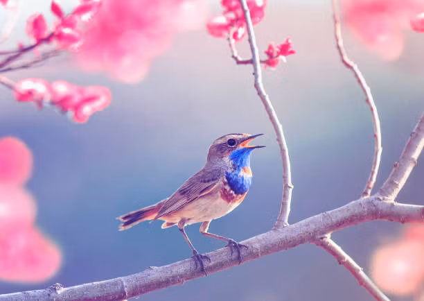 Đặc biệt từ sau Tết Nguyên đán, nhờ có sự giúp đỡ của quý nhân mà cuộc sống thay đổi ngày càng tốt đẹp hơn. Hãy xem những con giáp nào sẽ có may mắn như vậy nhé! 