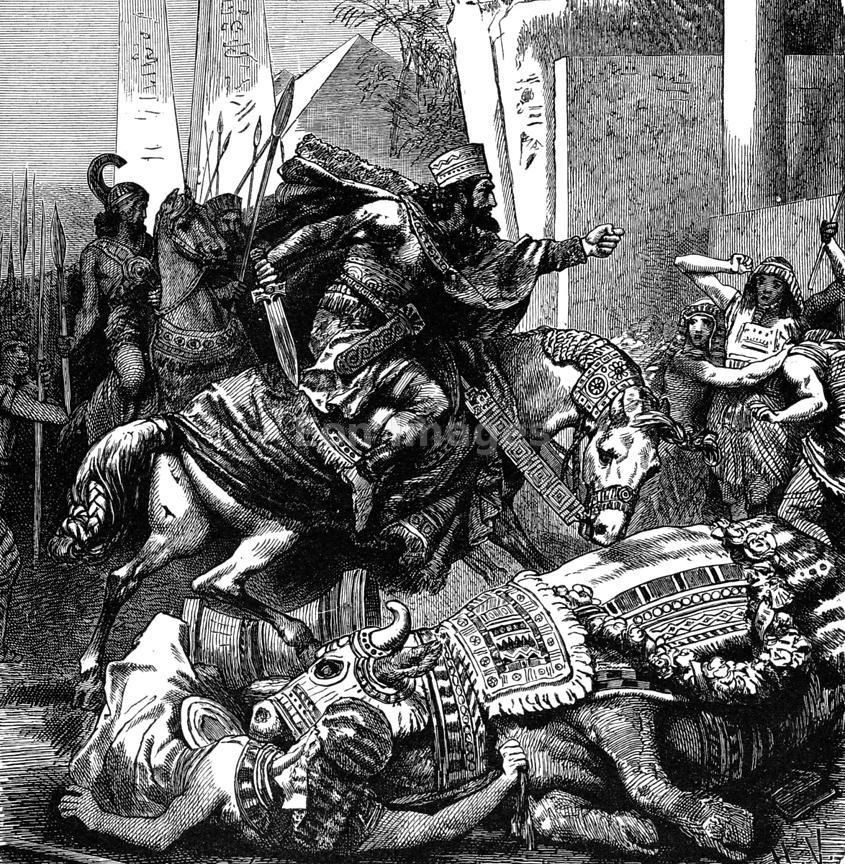 Trận chiến được châm ngòi từ sự kiện Cambyses II cầu hôn con gái của pharaoh Ai Cập thời đó là Amasis. Amasis không muốn biến con gái mình thành một công cụ chính trị nên đã đưa con gái của pharaoh đời trước đi để thế thân.