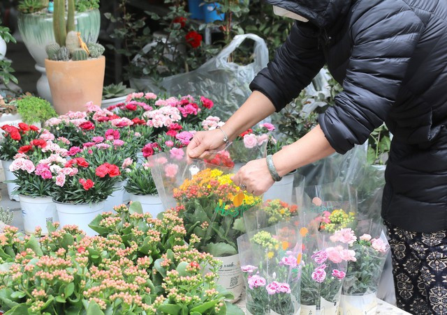 Cho hoa Van Phuc nhon nhip ngay can Tet Nguyen dan 2023-Hinh-5