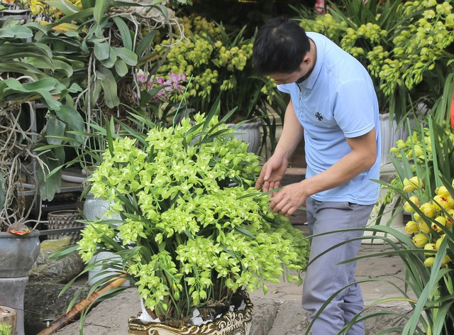 Cho hoa Van Phuc nhon nhip ngay can Tet Nguyen dan 2023-Hinh-8