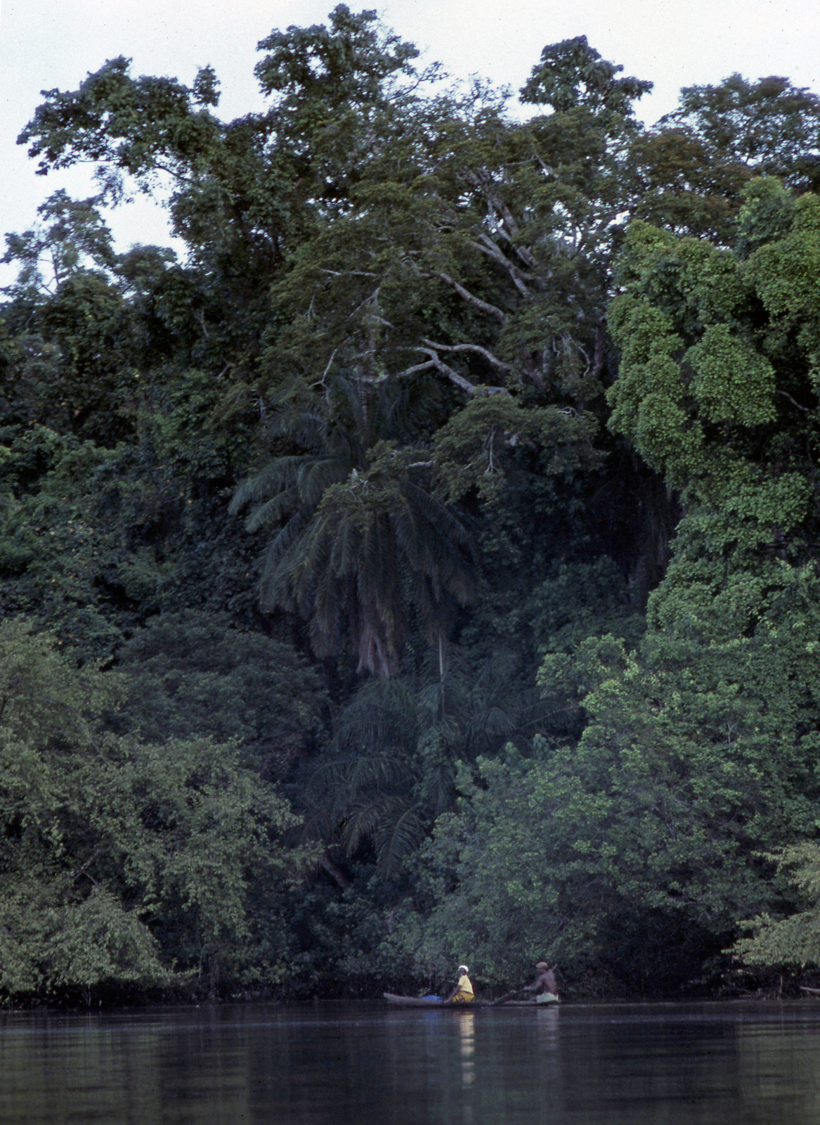 Khung cảnh trên sông Niger, phía Nam Onitsha.