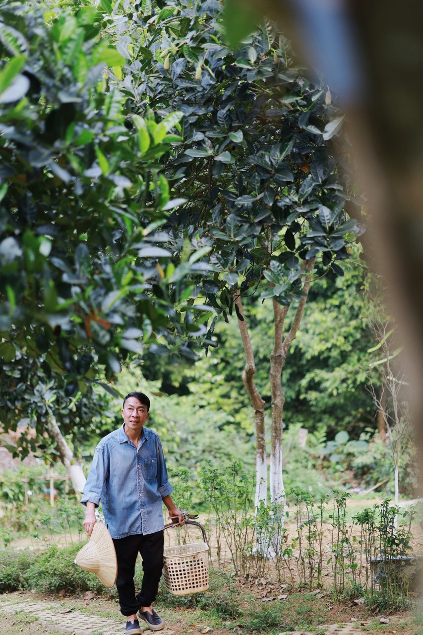 NSUT Viet Hoan: Se gia tu san khau o tuoi 60-Hinh-3