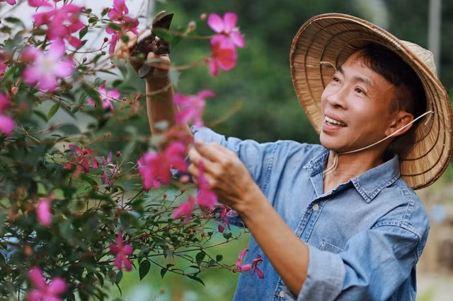 NSUT Viet Hoan: Se gia tu san khau o tuoi 60