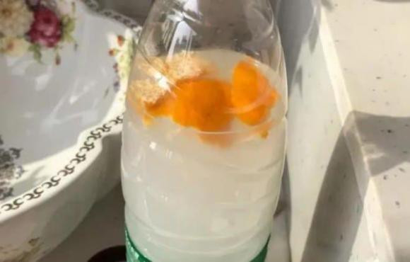 Dung nuoc vo gao ngam voi thu nay do vao chau cay, cay xanh tot-Hinh-4