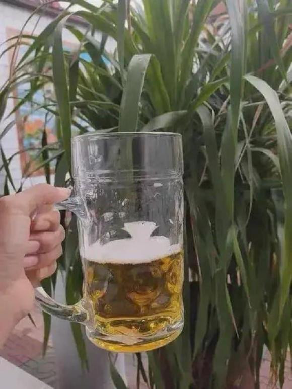 Dung nuoc vo gao ngam voi thu nay do vao chau cay, cay xanh tot-Hinh-2