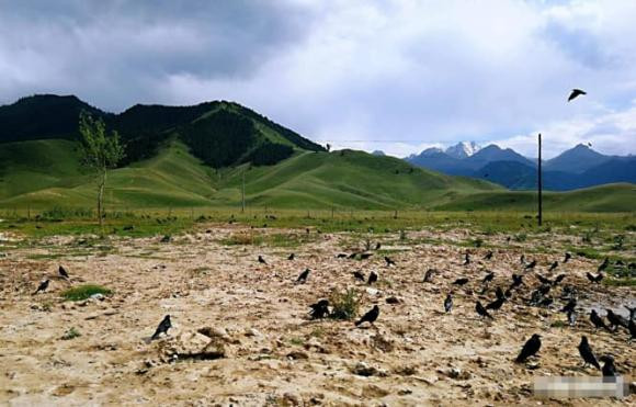 Ra ngoai gap 5 dieu du khong co tai hoa cung se gap tai hoa-Hinh-5