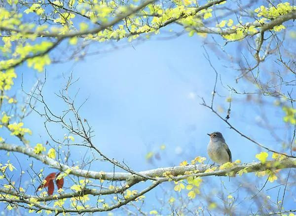 Tháng 4/2023, 3 con giáp gặp thời, sự nghiệp thăng hoa, vận may rực rỡ - Hình 2 Thang 4/2023, 3 con giap gap thoi, su nghiep thang hoa, van may ruc ro-Hinh-2