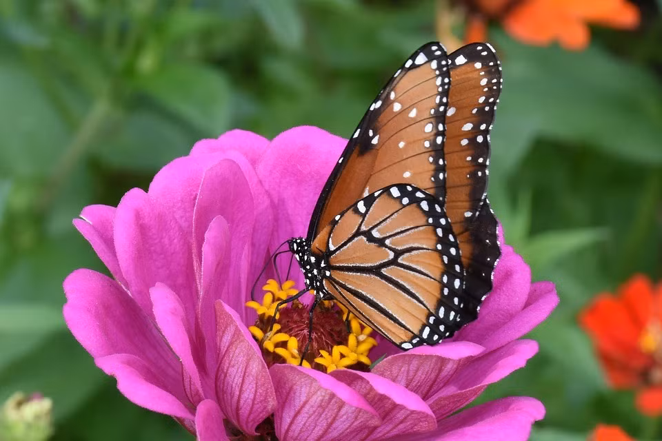 Ai sinh thang Am lich nay nam nay van trinh suon se, kiem tien dinh